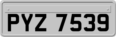 PYZ7539