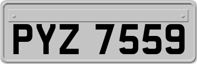 PYZ7559