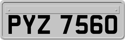 PYZ7560