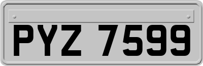 PYZ7599