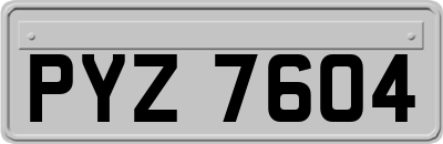 PYZ7604