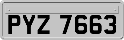 PYZ7663