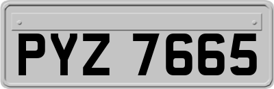 PYZ7665