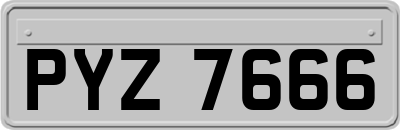 PYZ7666