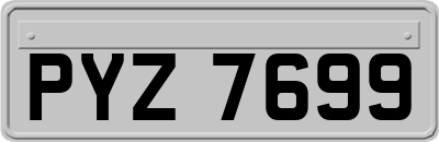 PYZ7699