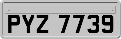 PYZ7739