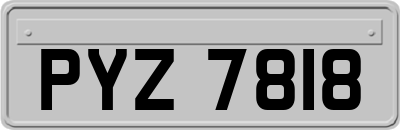 PYZ7818