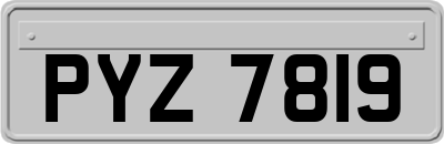 PYZ7819