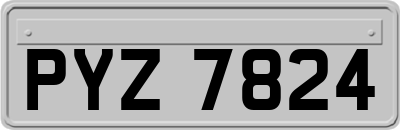 PYZ7824