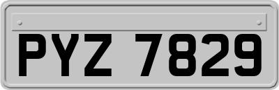 PYZ7829