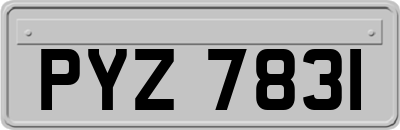 PYZ7831