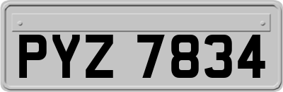 PYZ7834
