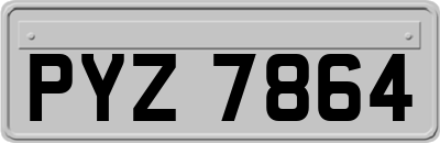 PYZ7864