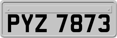 PYZ7873