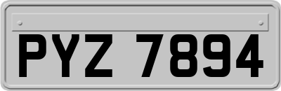 PYZ7894