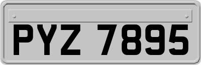 PYZ7895