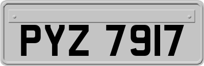 PYZ7917