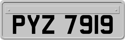 PYZ7919