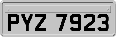PYZ7923