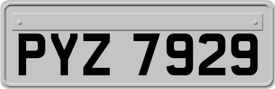 PYZ7929