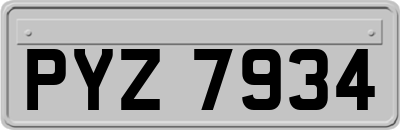 PYZ7934