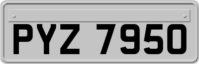 PYZ7950