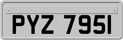 PYZ7951