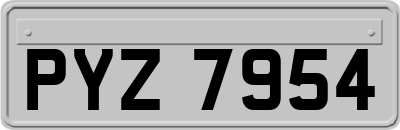 PYZ7954
