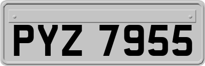 PYZ7955