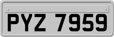 PYZ7959