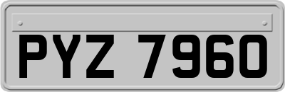 PYZ7960