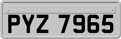 PYZ7965