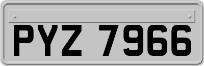 PYZ7966