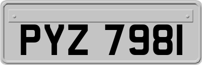PYZ7981