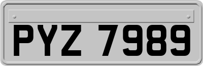 PYZ7989