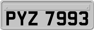 PYZ7993
