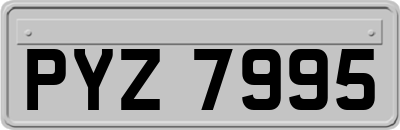 PYZ7995