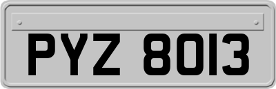 PYZ8013