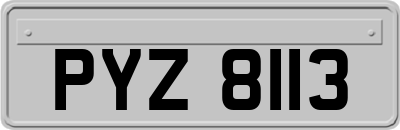 PYZ8113