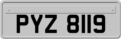 PYZ8119