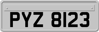 PYZ8123