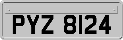 PYZ8124