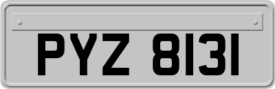 PYZ8131
