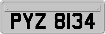PYZ8134
