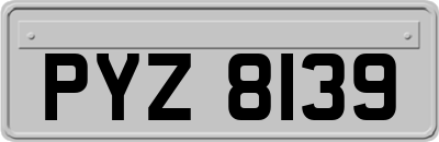 PYZ8139