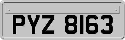 PYZ8163