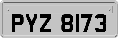 PYZ8173