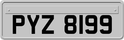 PYZ8199