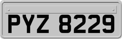 PYZ8229