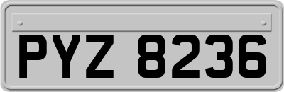 PYZ8236